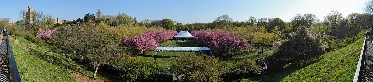 Botanischer Garten Brooklyn – Kartenstandort der Gossip Girl Tours NYC