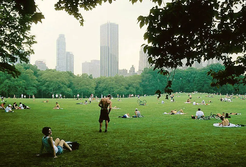 Sheep Meadow, Central Park – Kartenstandort der Gossip Girl Tours NYC